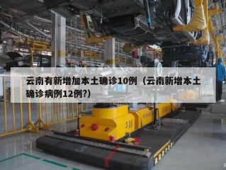 云南有新增加本土确诊10例（云南新增本土确诊病例12例?）