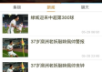 云鼎娱乐最新版本V7.40.167.295ios版本-推荐