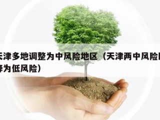 天津多地调整为中风险地区（天津两中风险区降为低风险）